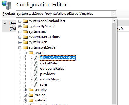 IIS Configuration Manager