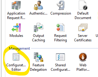 IIS Manager Server Level
